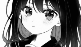 日漫黑白漫画,日漫黑白漫画的神秘魅力